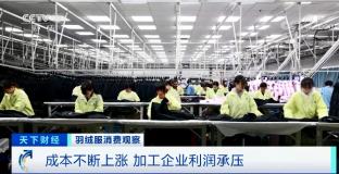 羽絨服輪番漲價(jià) 中高端產(chǎn)品還賣得更火了？
